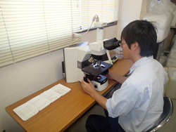 位相差分散顕微鏡による観察