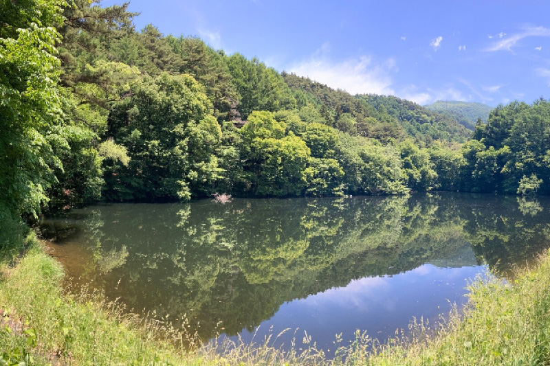 ため池の写真